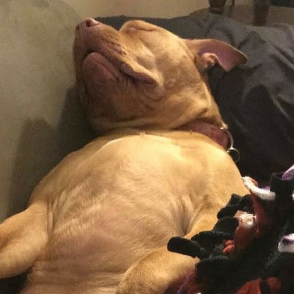 Meet your Posher, Brian - Picture 1 of 1